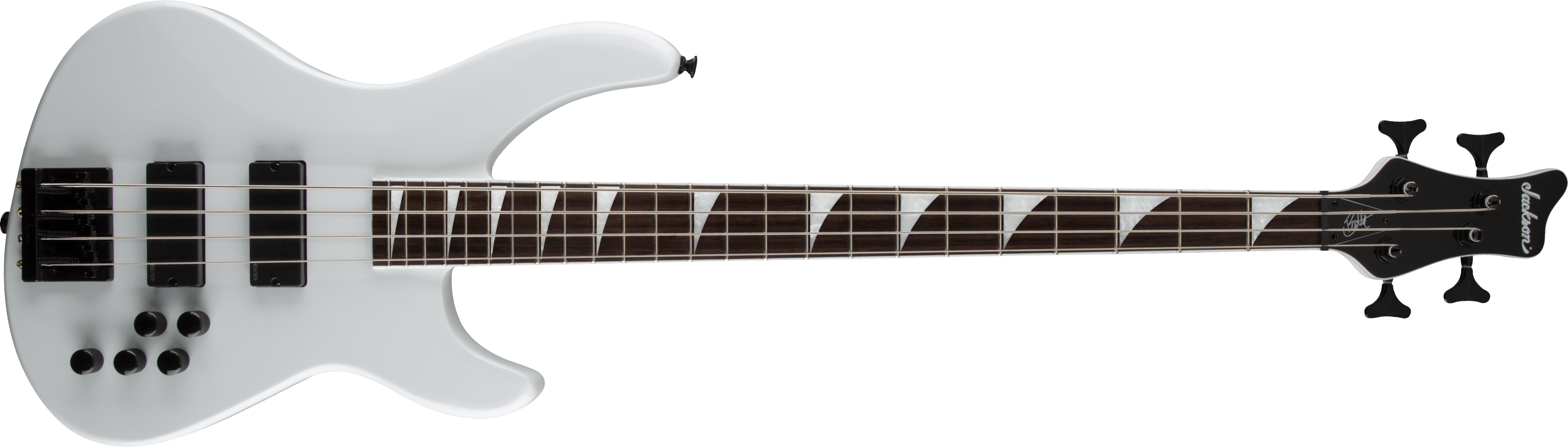 Pro Series Signature Chris Beattie Concert™ Bass