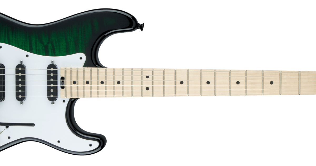 アダムギター 2024 - Paul Reed Smith Eddie's Guitars Wood Library 509