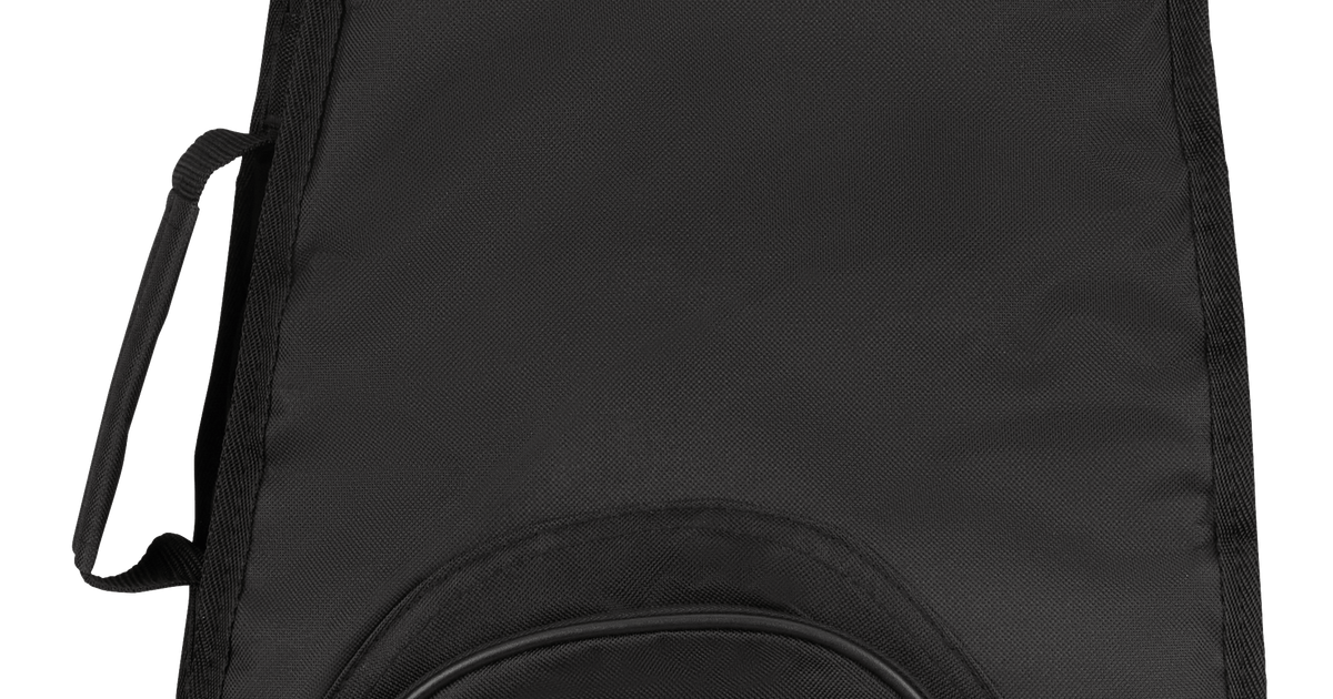 Minion Rhoads Gig Bag – Jacksonguitars.com
